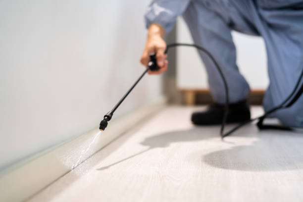 Licensed Cockroach Control service in Wilson, OK - Nex Pest Control