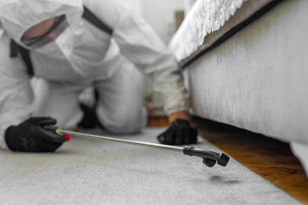 Professional Cockroach Control technician working in Wilson, OK