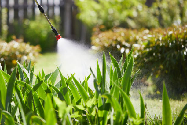 24/7 Emergency Cockroach Control experts in Wilson, OK