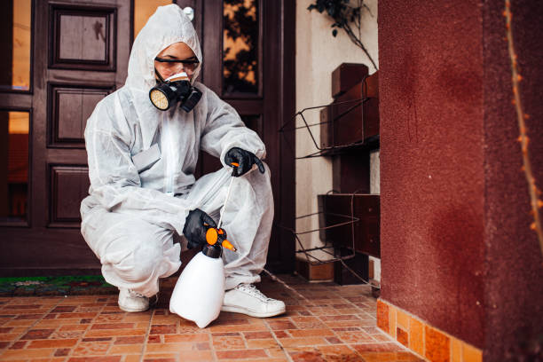 Reliable Cockroach Control contractor in Wilson, OK by Nex Pest Control